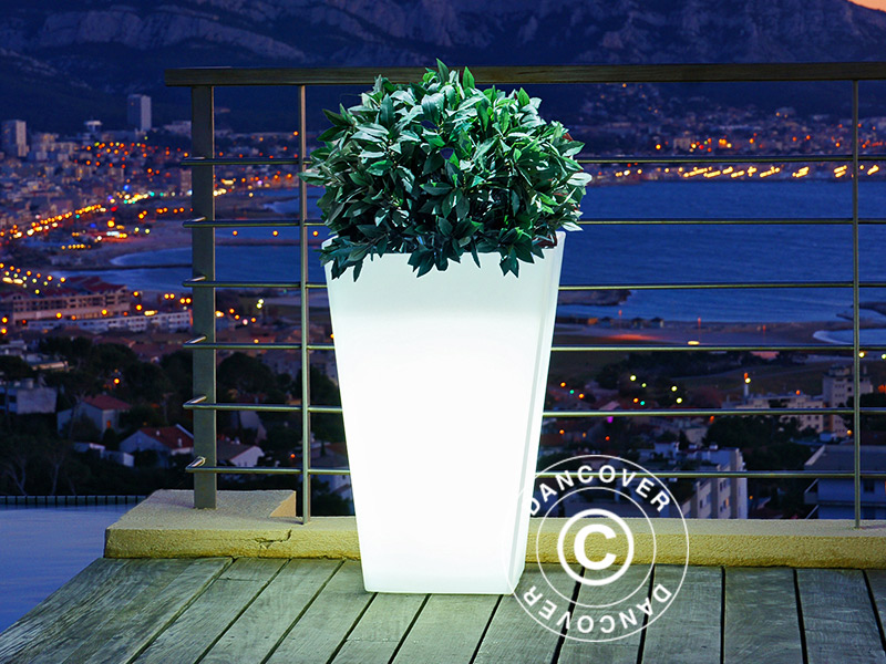 Planters create ambience