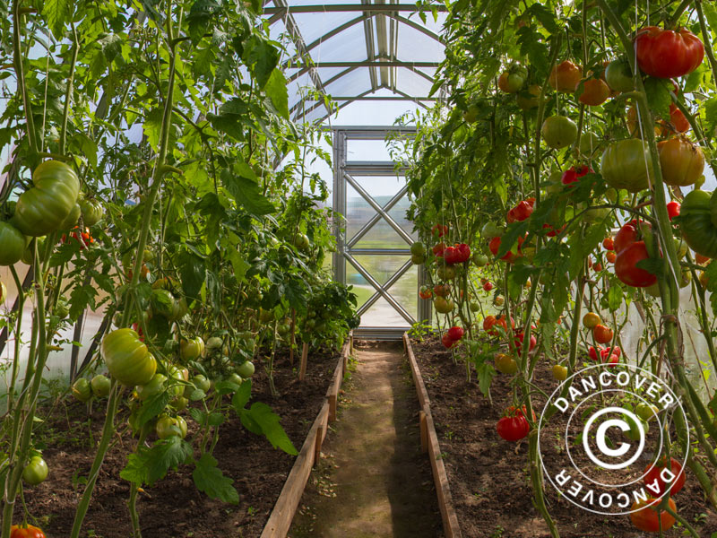 Greenhouses for homegrown produce