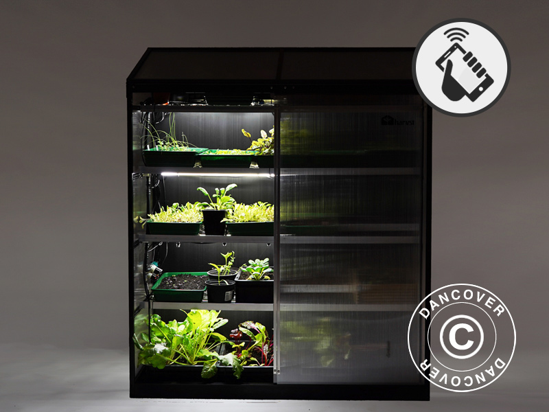 Smart greenhouses with innovative features for fresh produce
