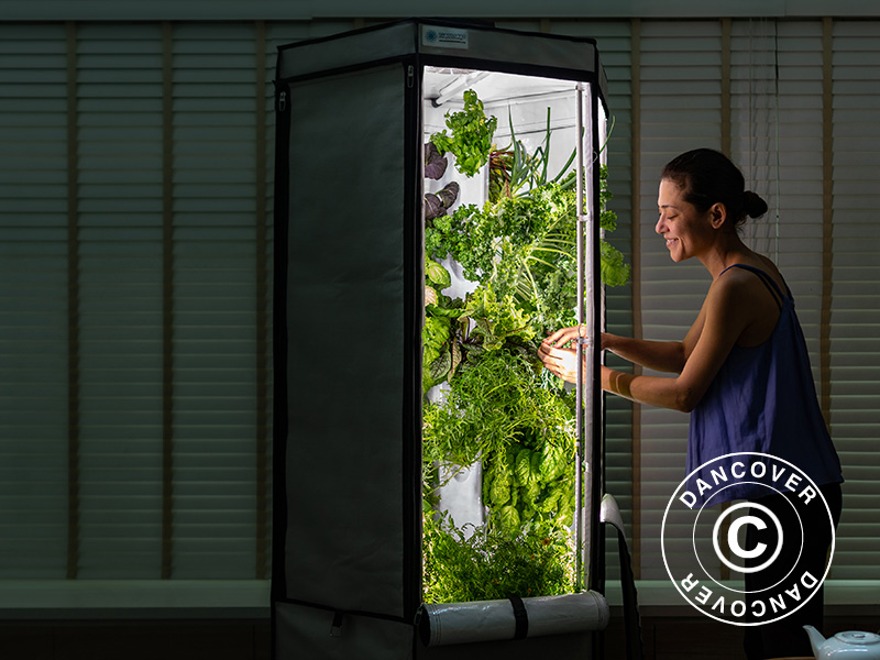 Hydroponic growing is a smart way to have fresh green all year